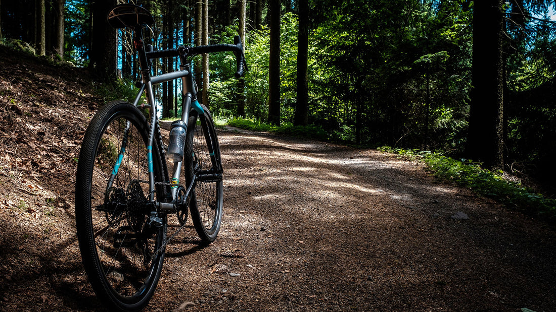 Choosing the right e-bike: Electric Mountain Bikes